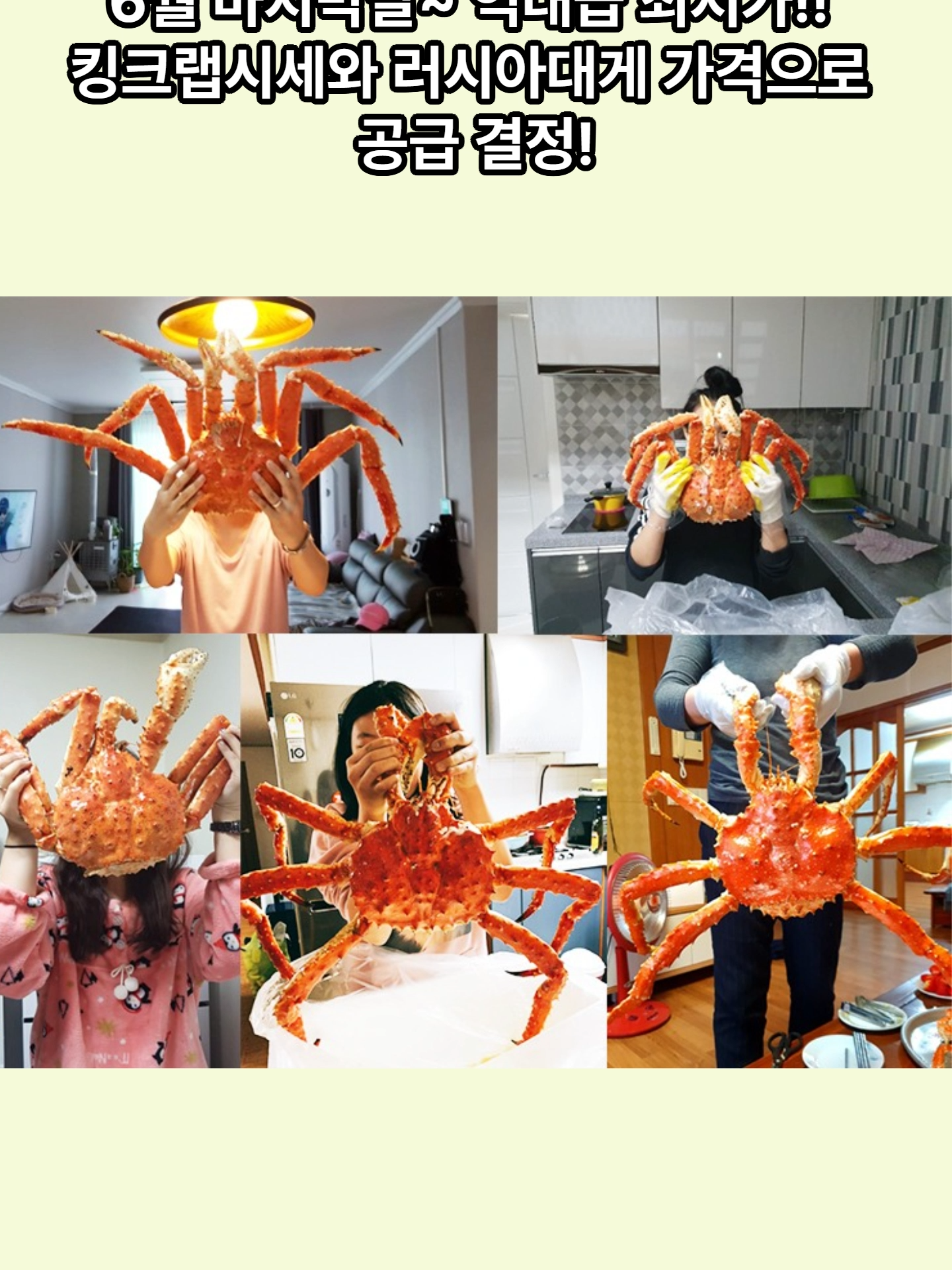 @킹크랩 대게 동해수산유통