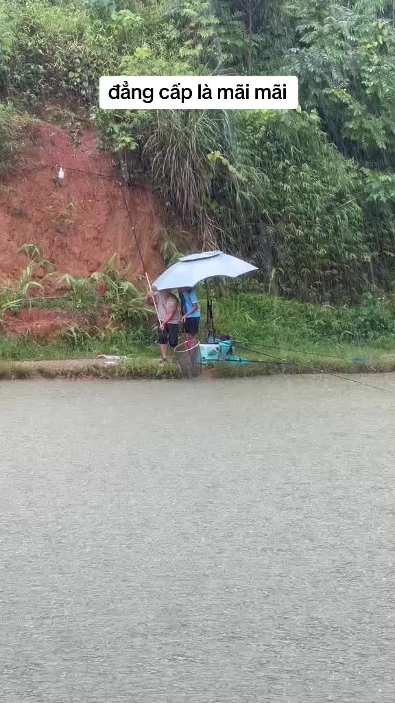 @Đồ câu nga hoàng