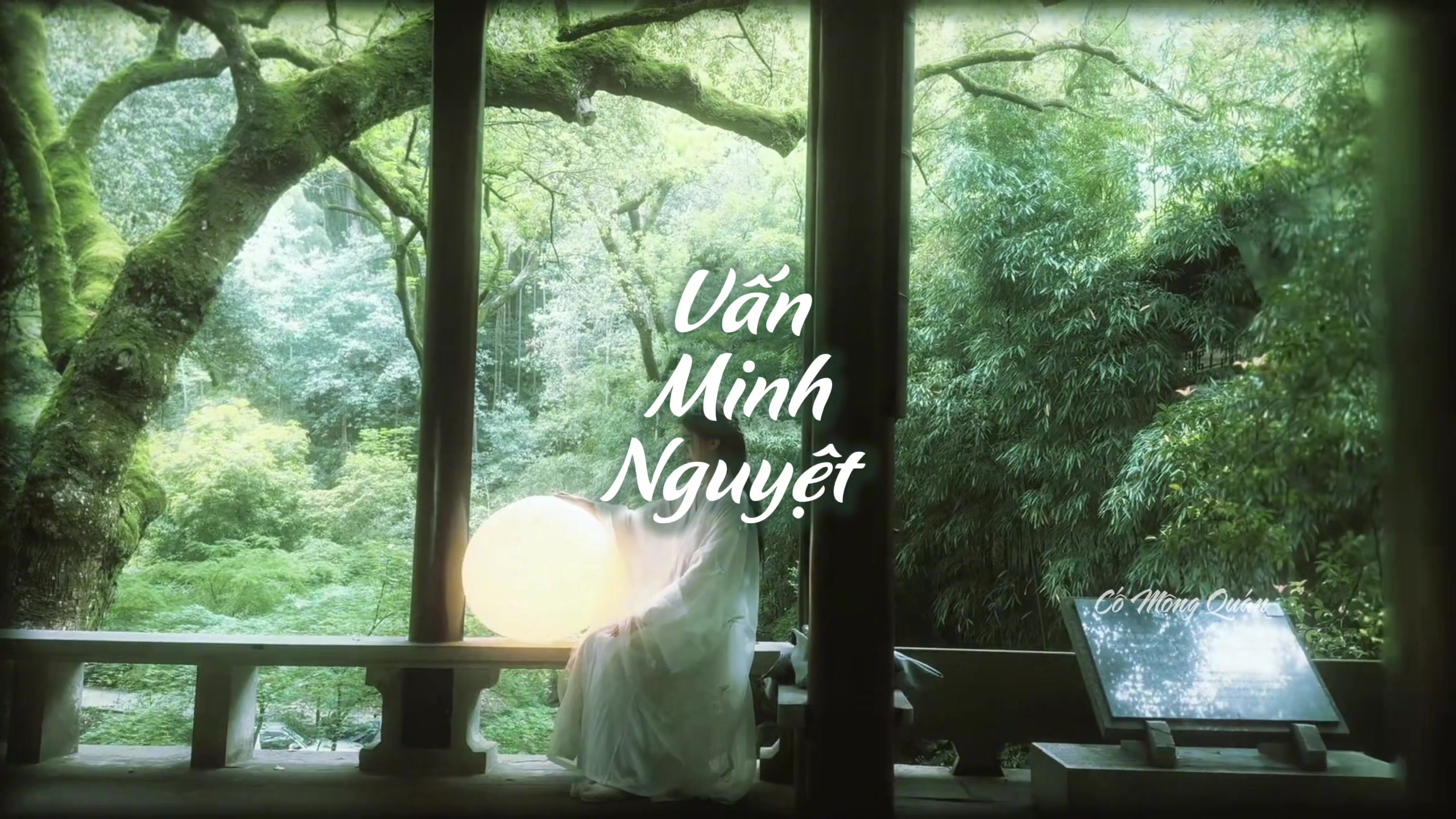 @Cố Mộng Quán 故梦馆