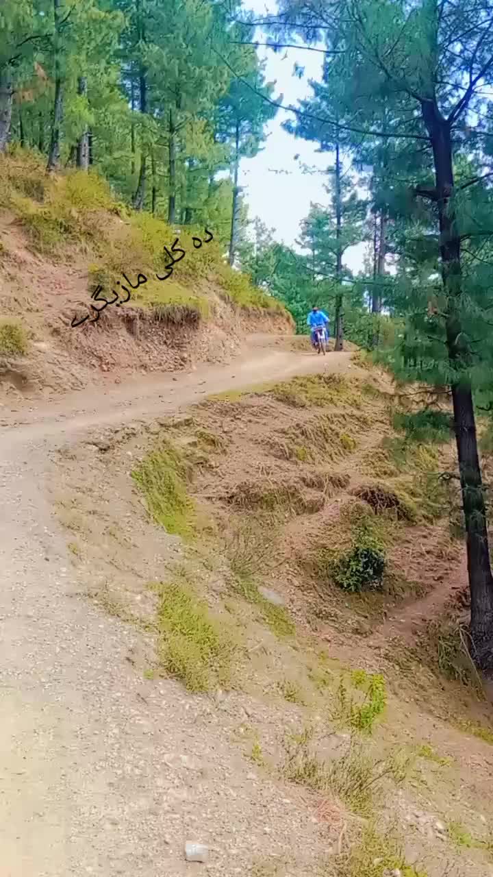 @Dilsuz