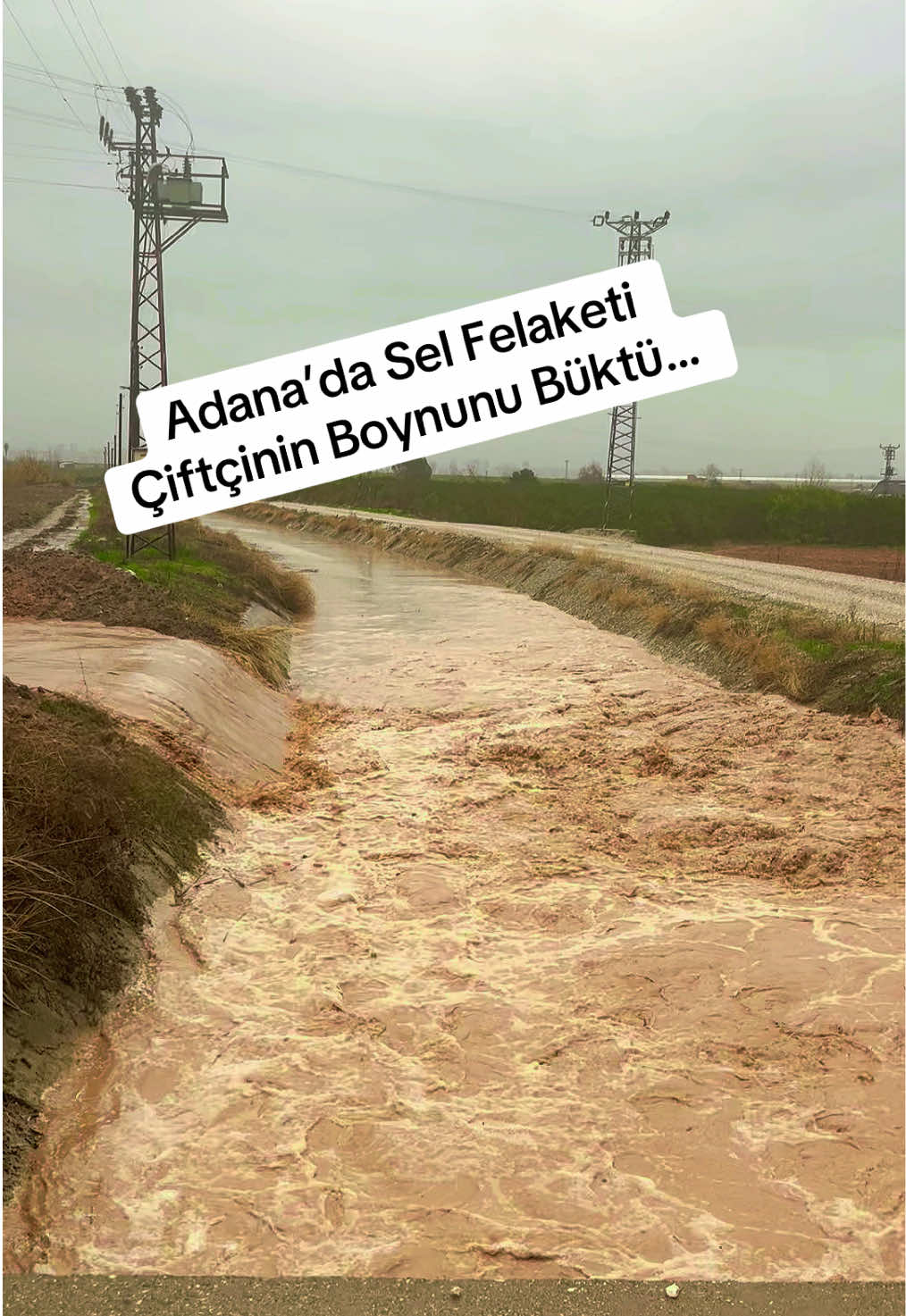 @🇹🇷Süleyman Özkan🇹🇷
