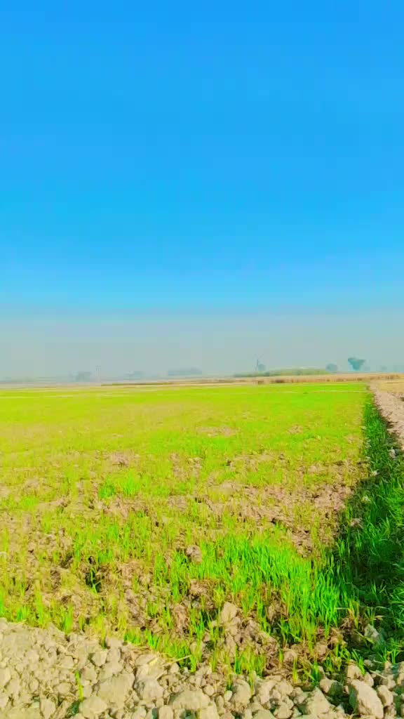 @👋🏻انڑ صاحب ✌️110