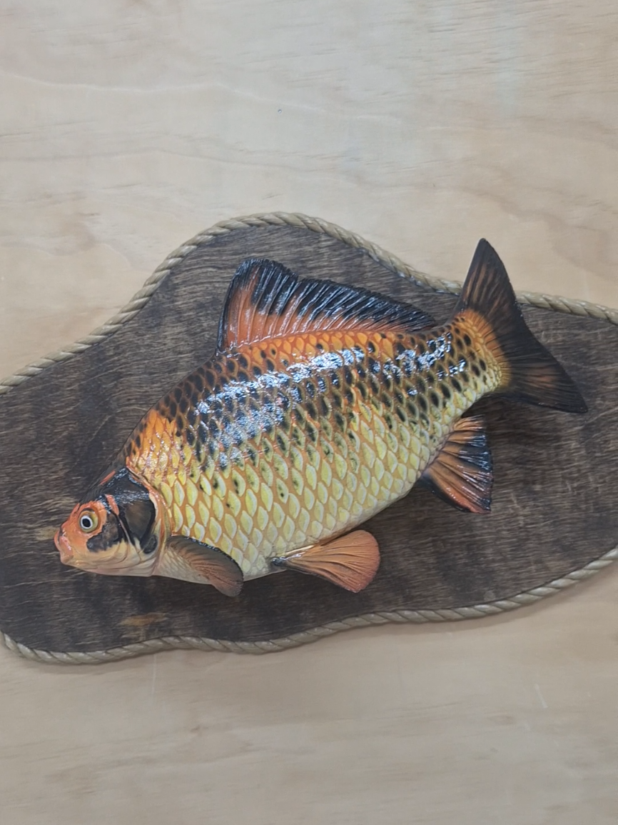 @SouthernScalesFishTaxi