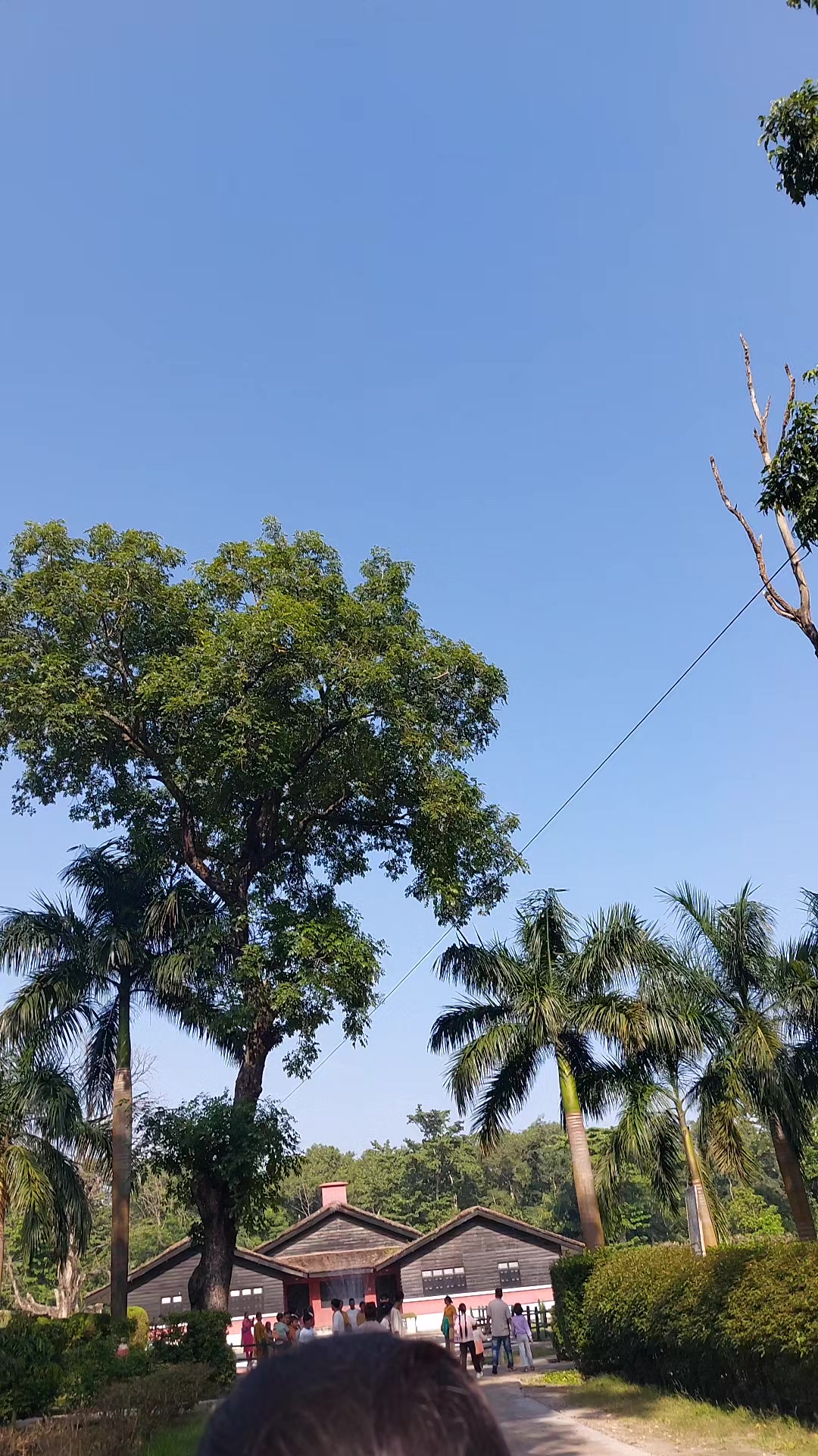 @अमृता मगर