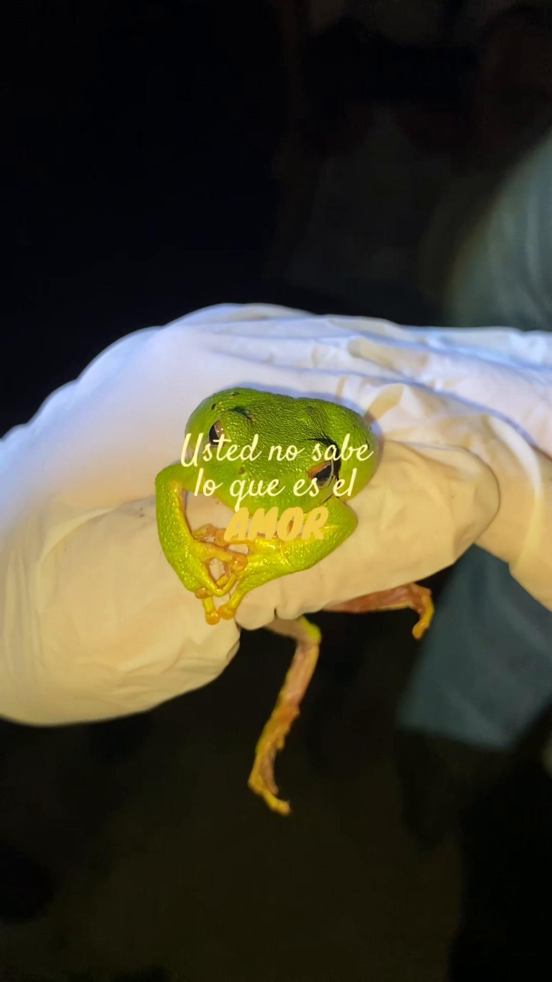 @ᴠᴀʟᴇʀɪᴀ | medvet ⚕