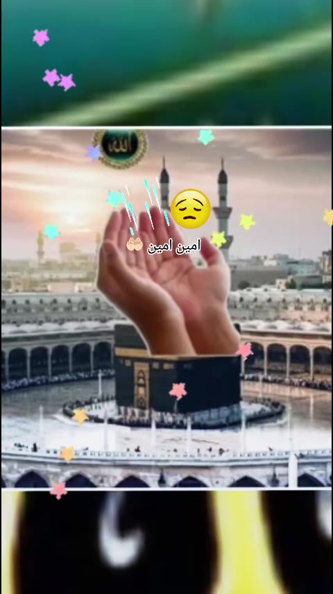 @abdul