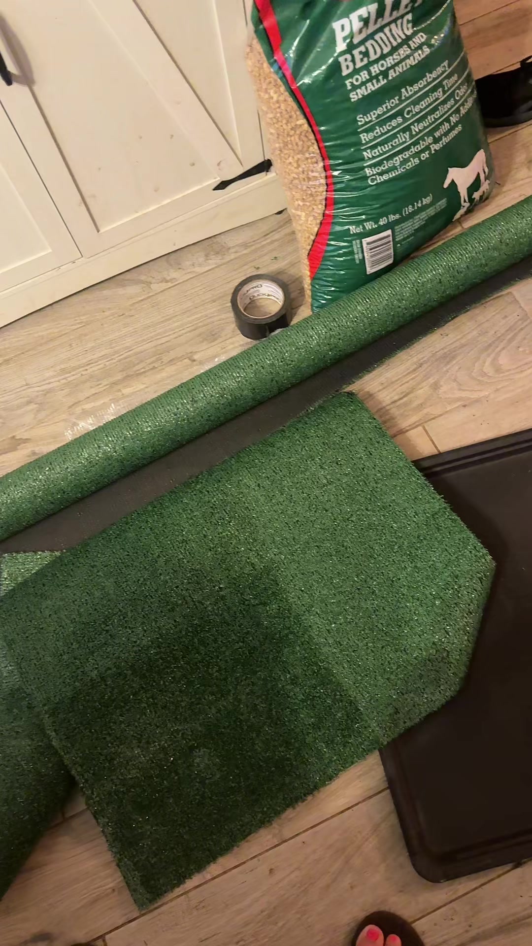@AandMCaneCorsos