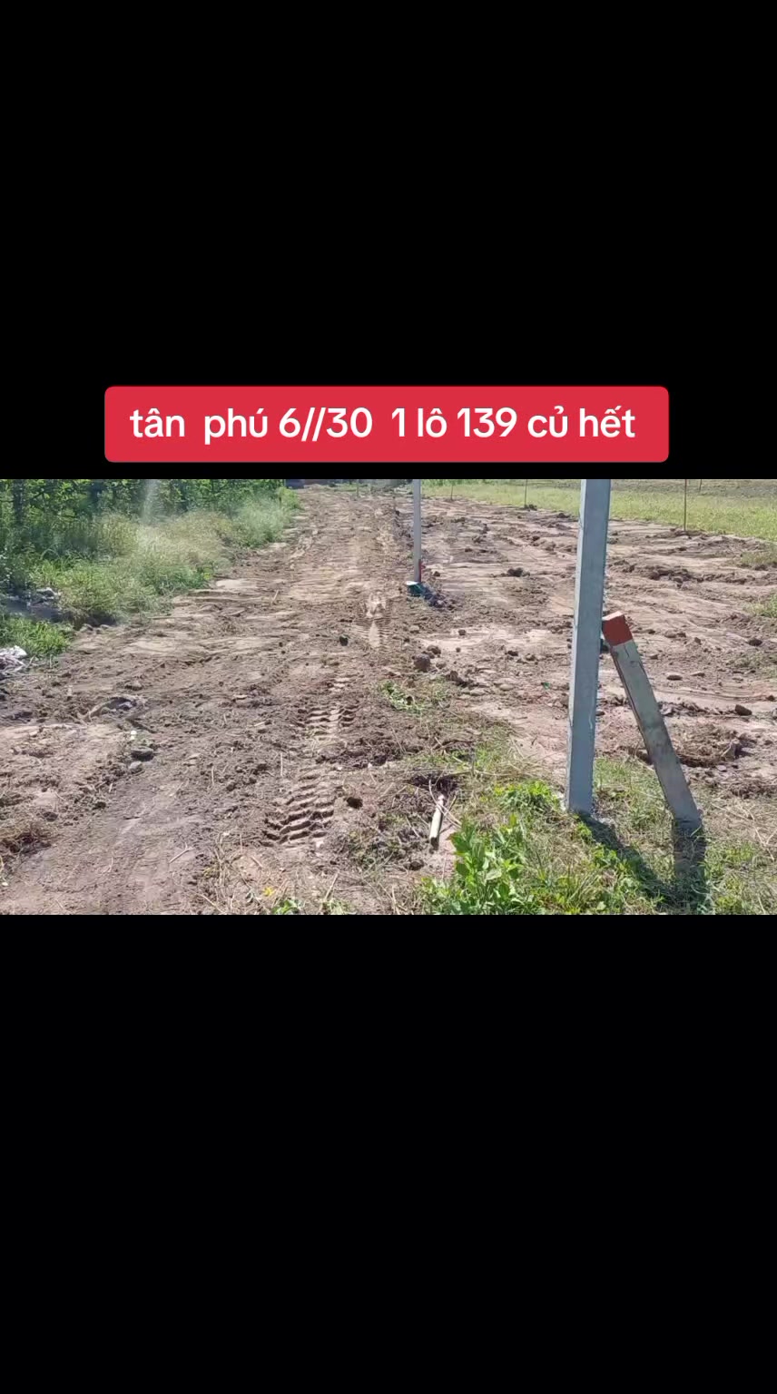 @phú sohs tổng hợp