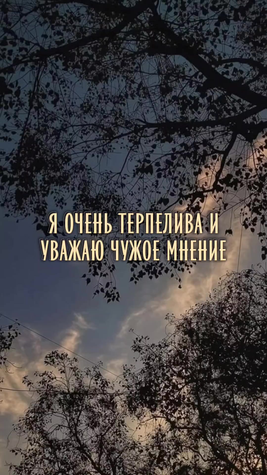@☆︎TT-Murka☆︎