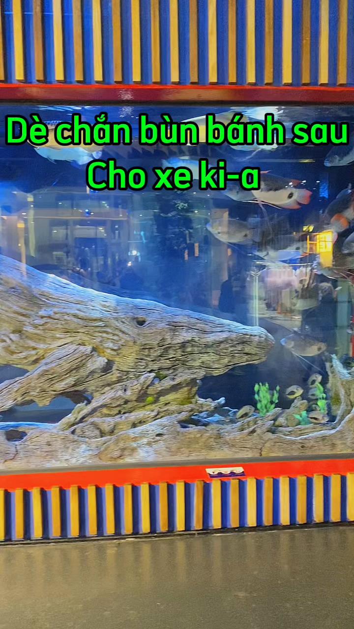 @Phụ kiện &ocirc; t&ocirc; Ho&agrave;ng B&aacute;ch