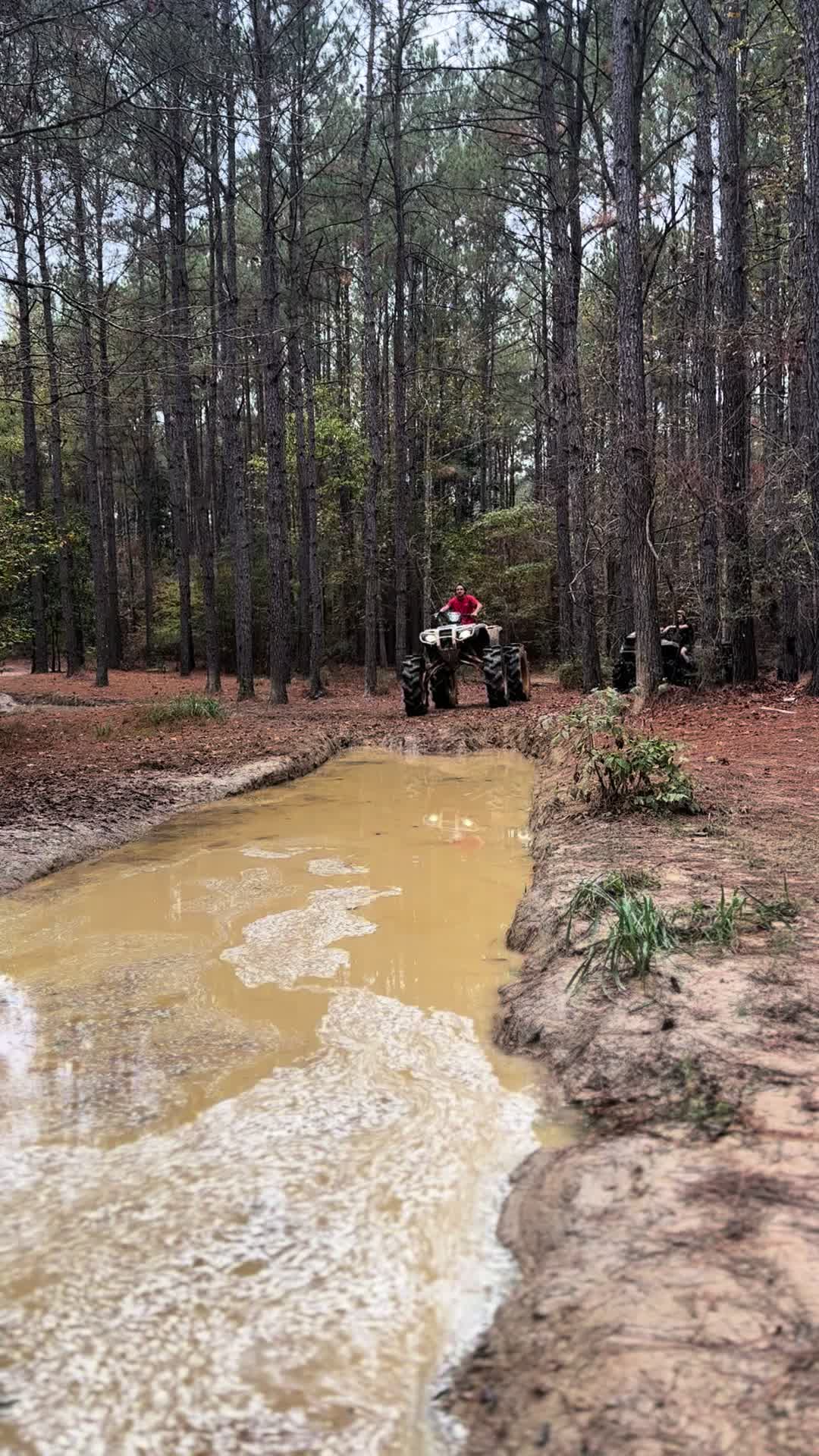 @Landon 337