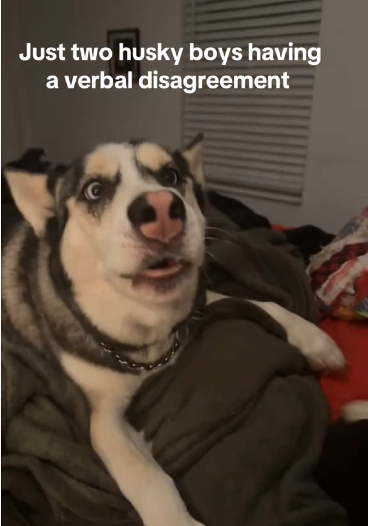 @Gabs