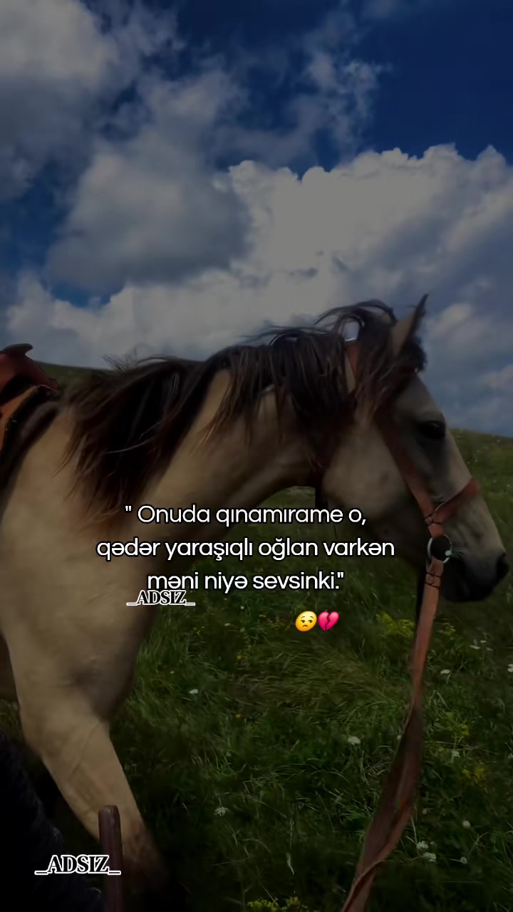 @_ADSIZ_