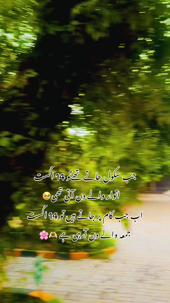 @merapind209