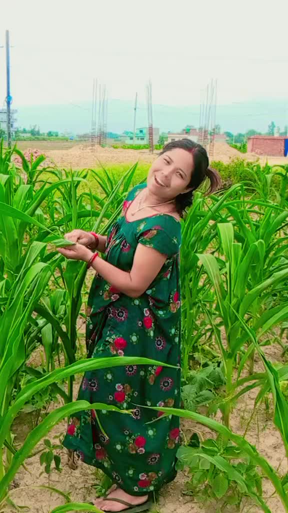 @Bhavana Bhavana