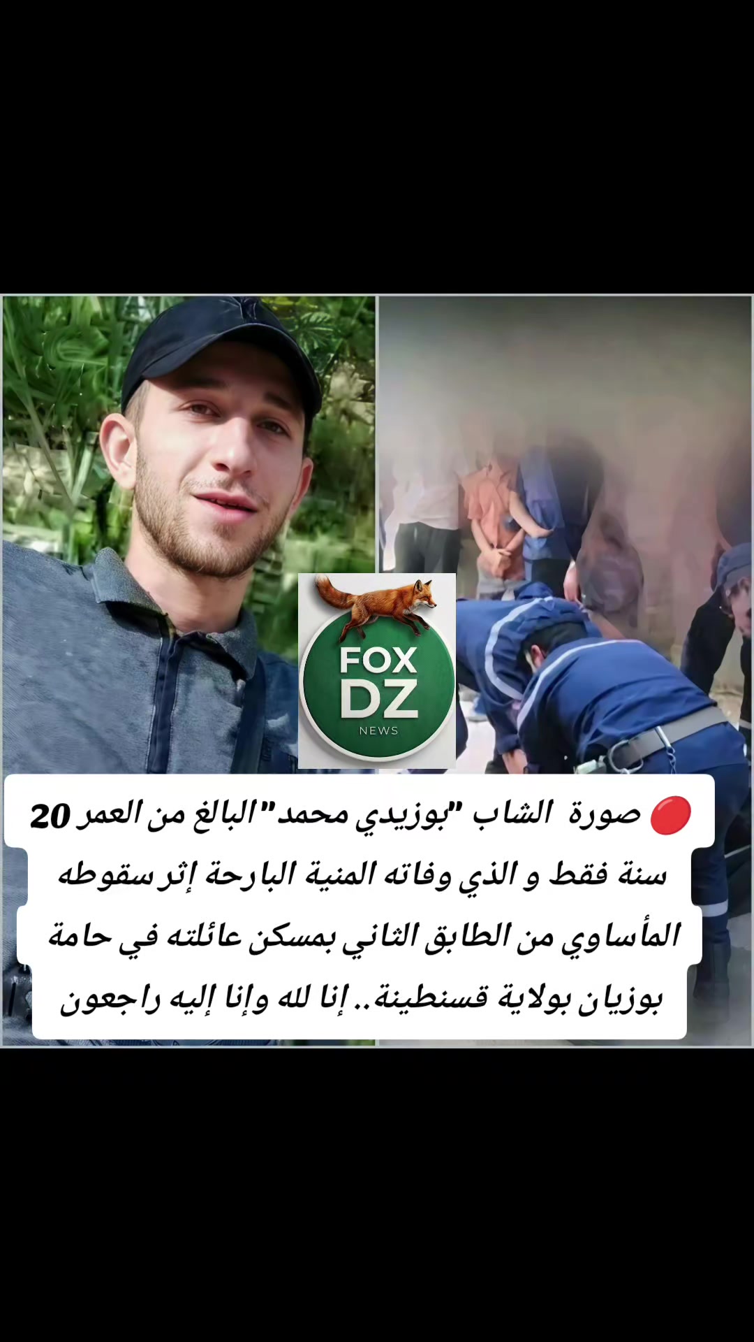 @🇩🇿FOX🦊 DZ🇩🇿