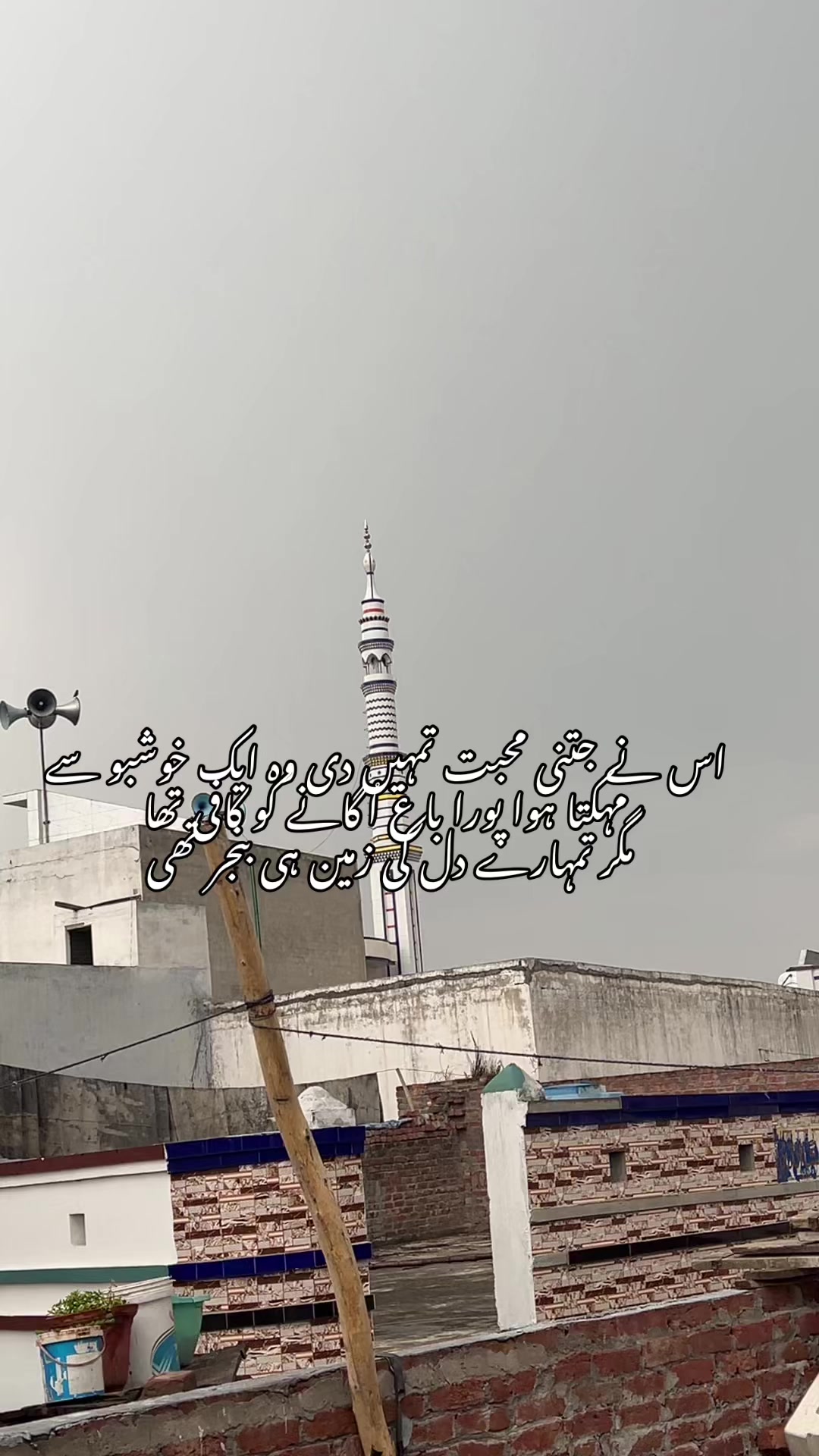 @🥀 شعبی ۔۔