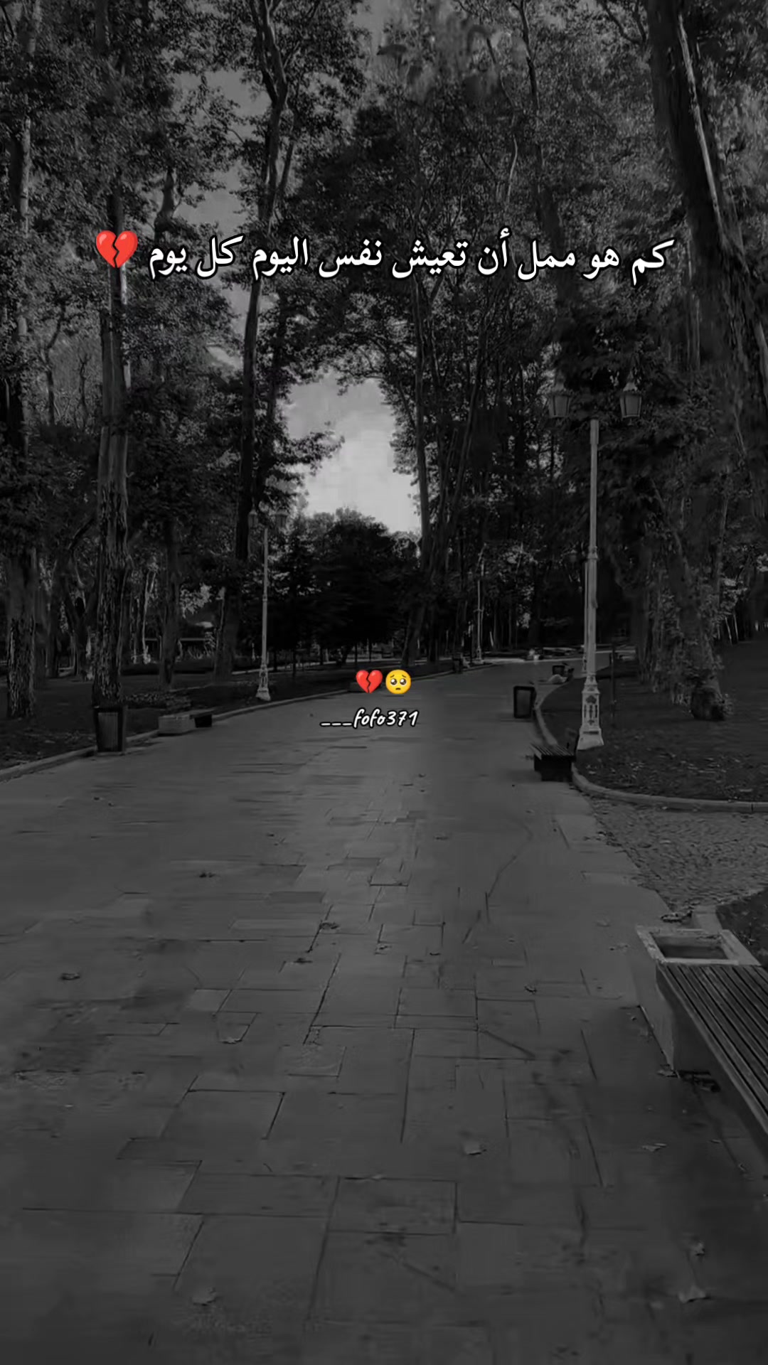@🦋فـ❣ـہوُفـ❣ـہوُ || ℱ𝒪 ℱ𝒪🦋