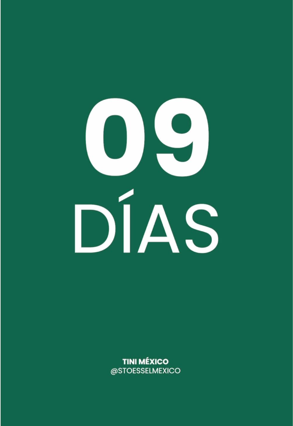 @Stoessel México