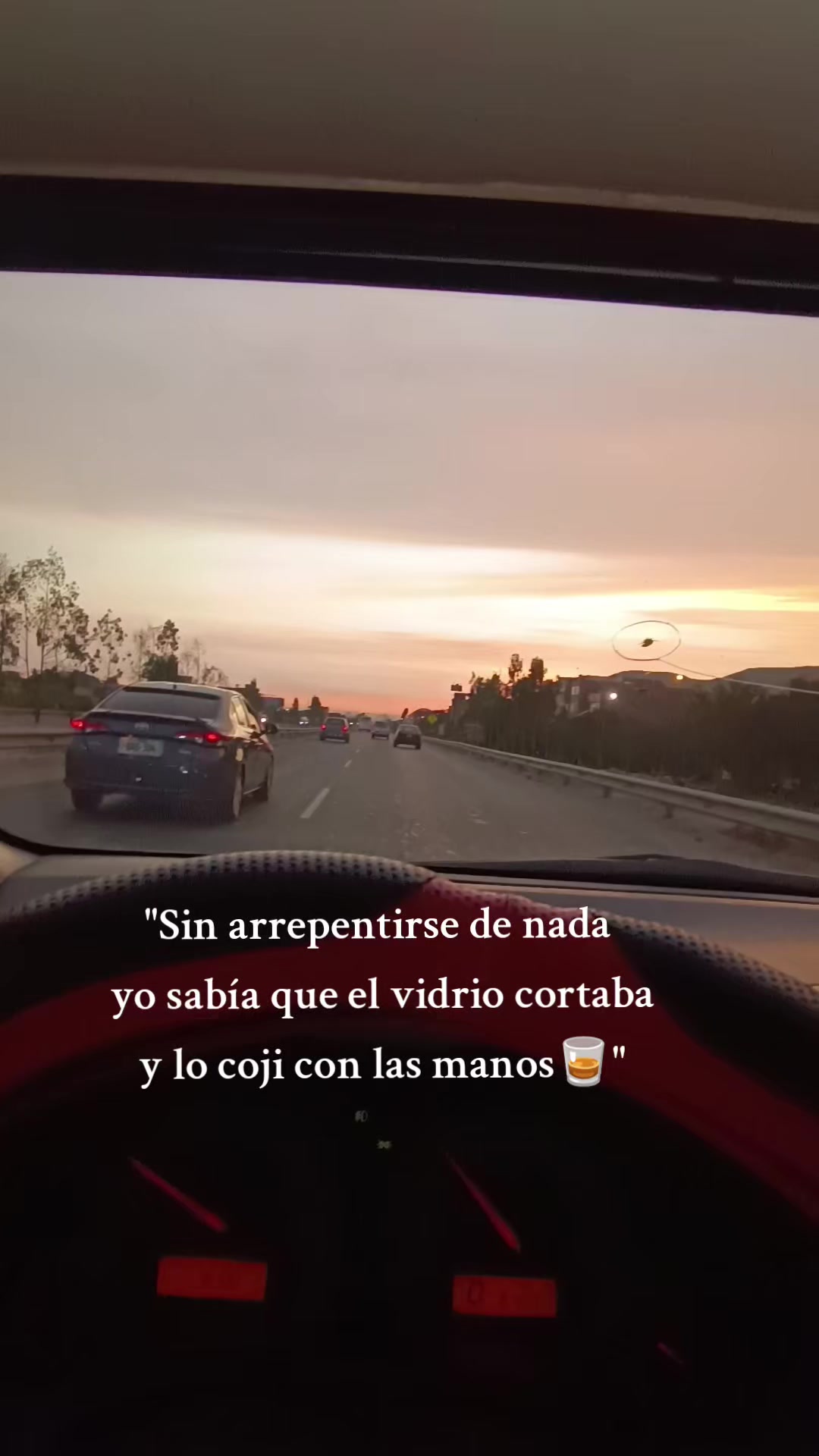 @Jonner Mandujano Torres Gatito