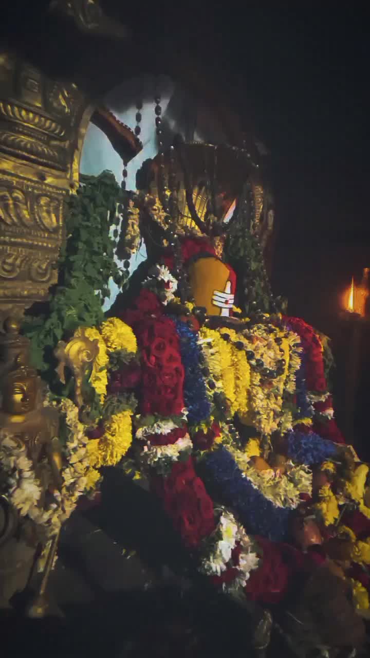 @Uma