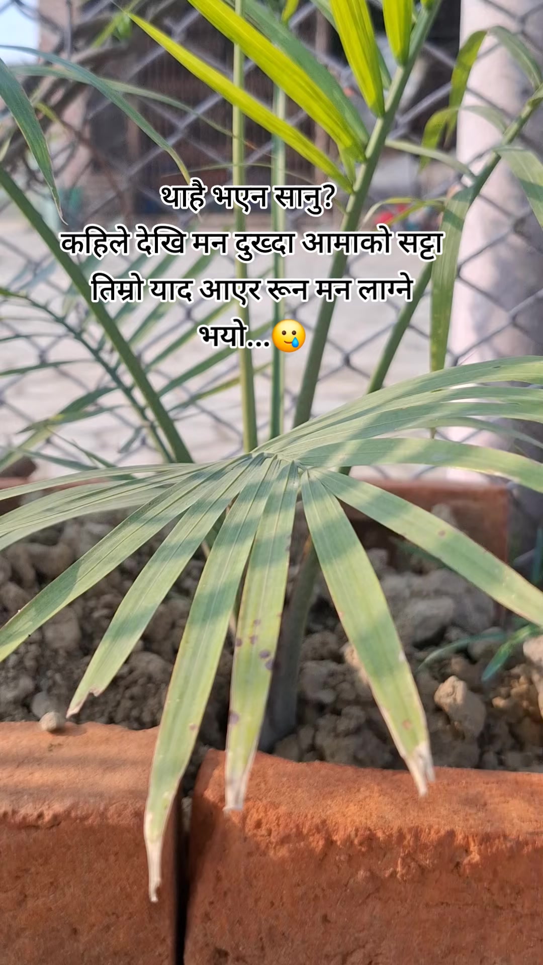 @शब्द 😰💔🥀