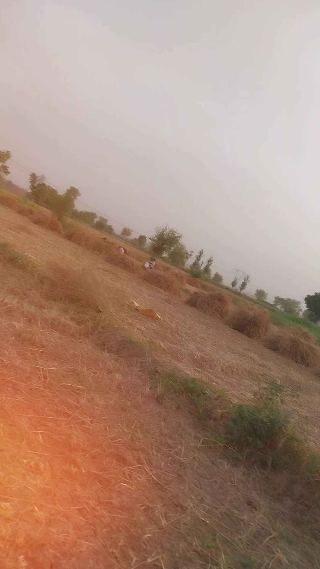 @🔥 Saad Bhatti 🔥