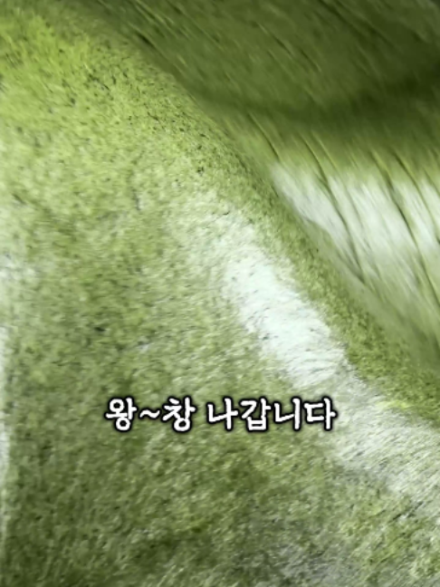 @명가삼대떡집
