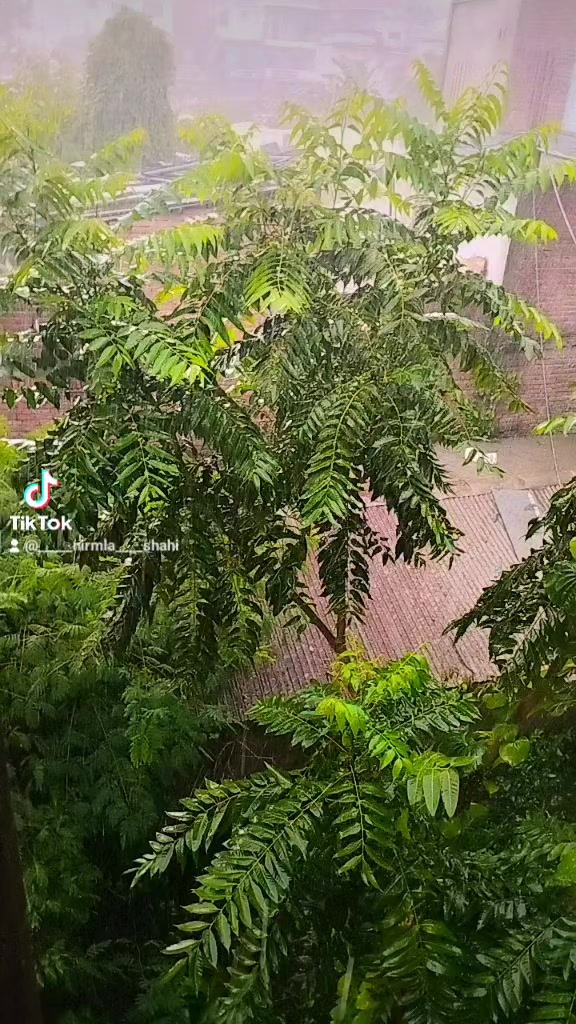 @NIRMLA SHAHI