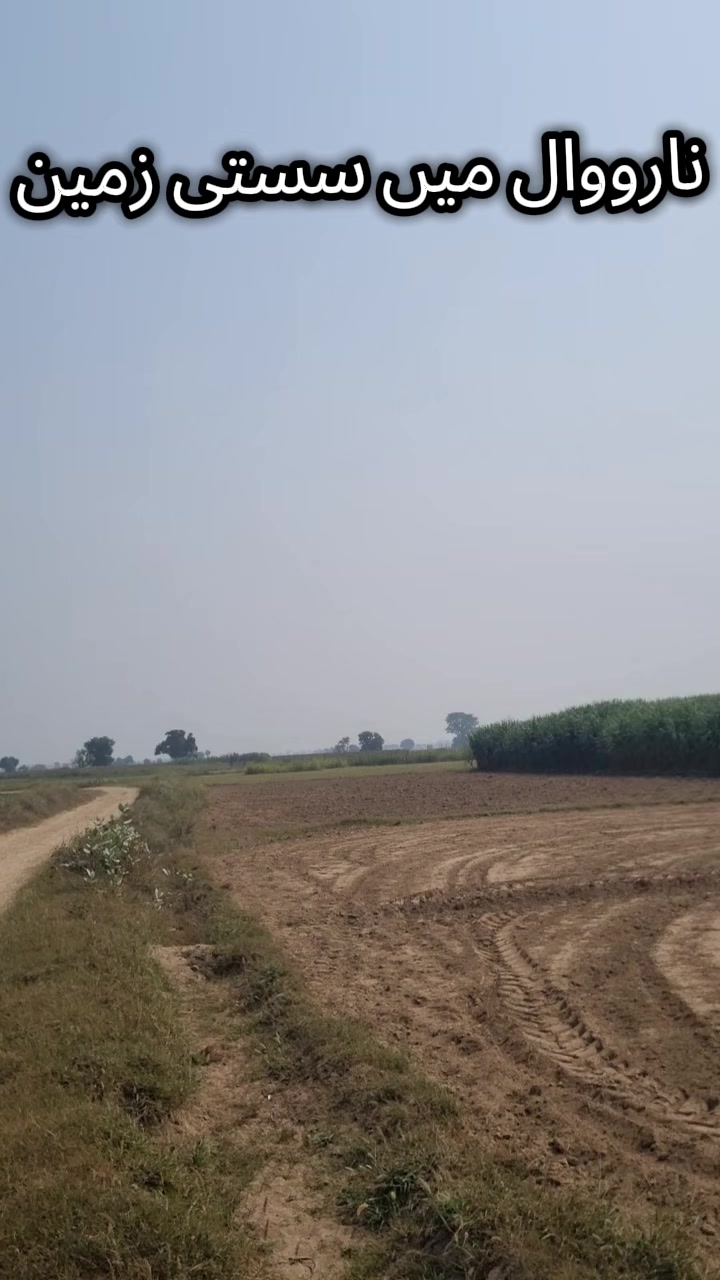 @Narowal property