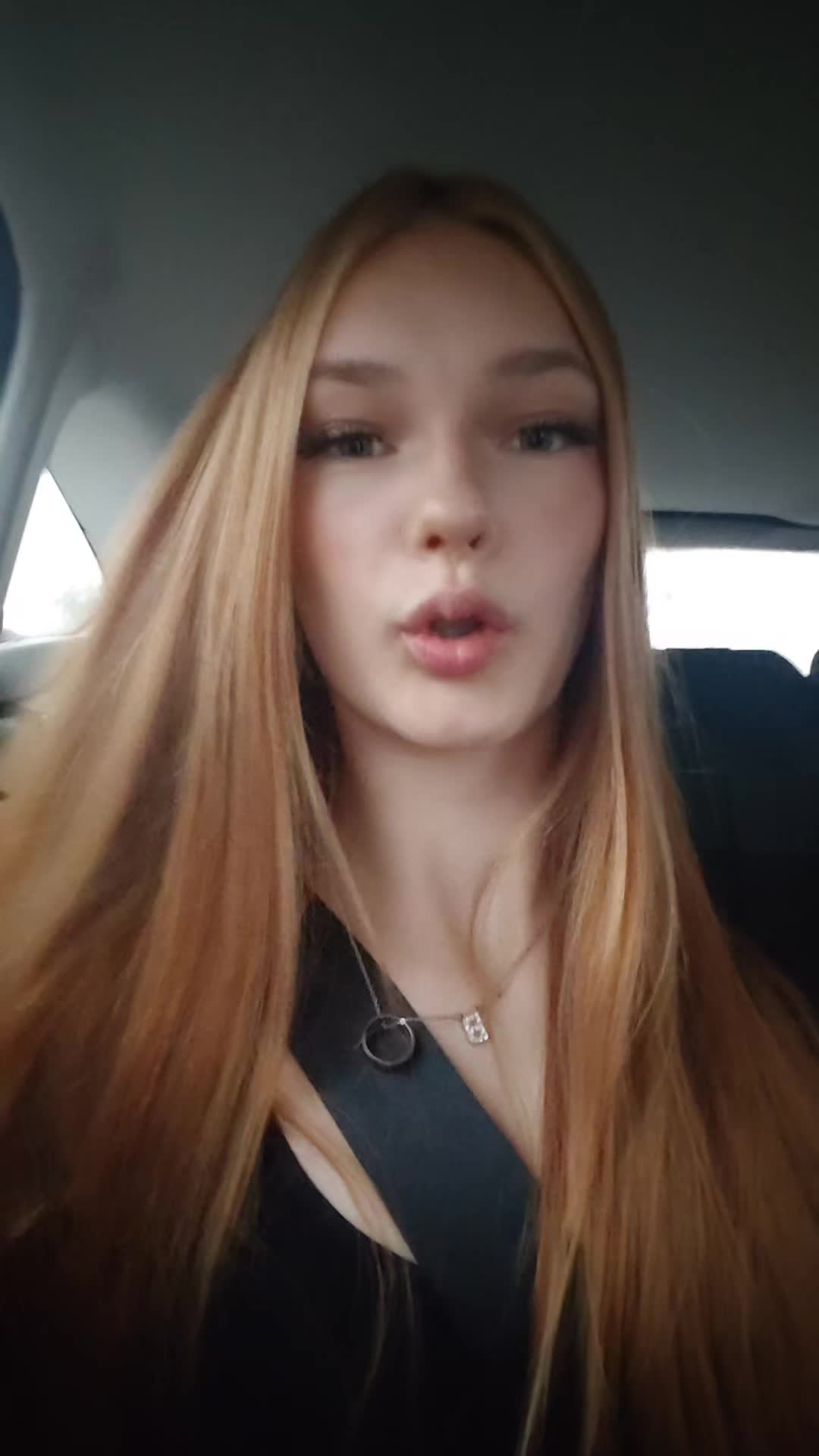 @stella