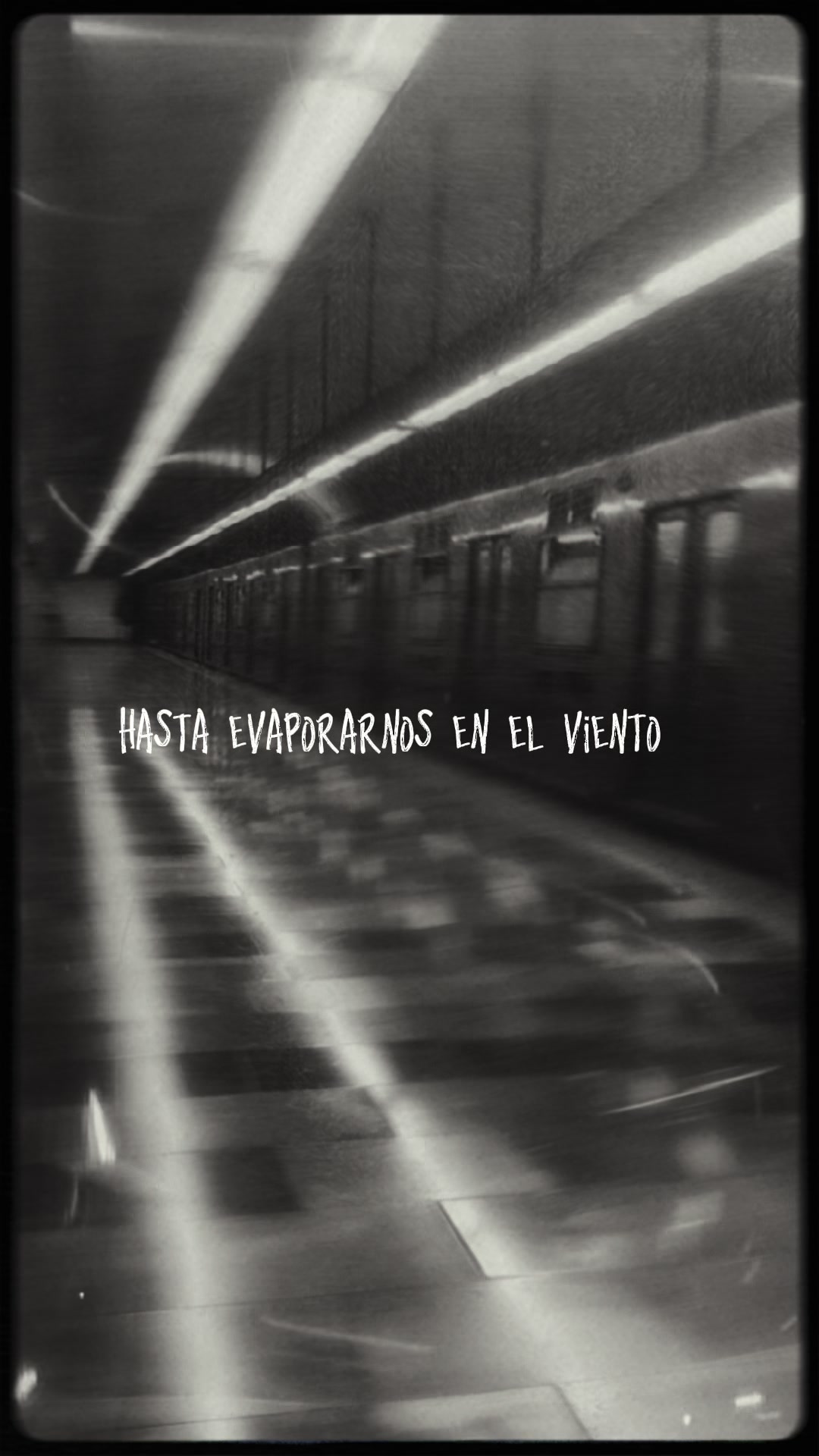 @Estereo Le&oacute;n 📻🦁
