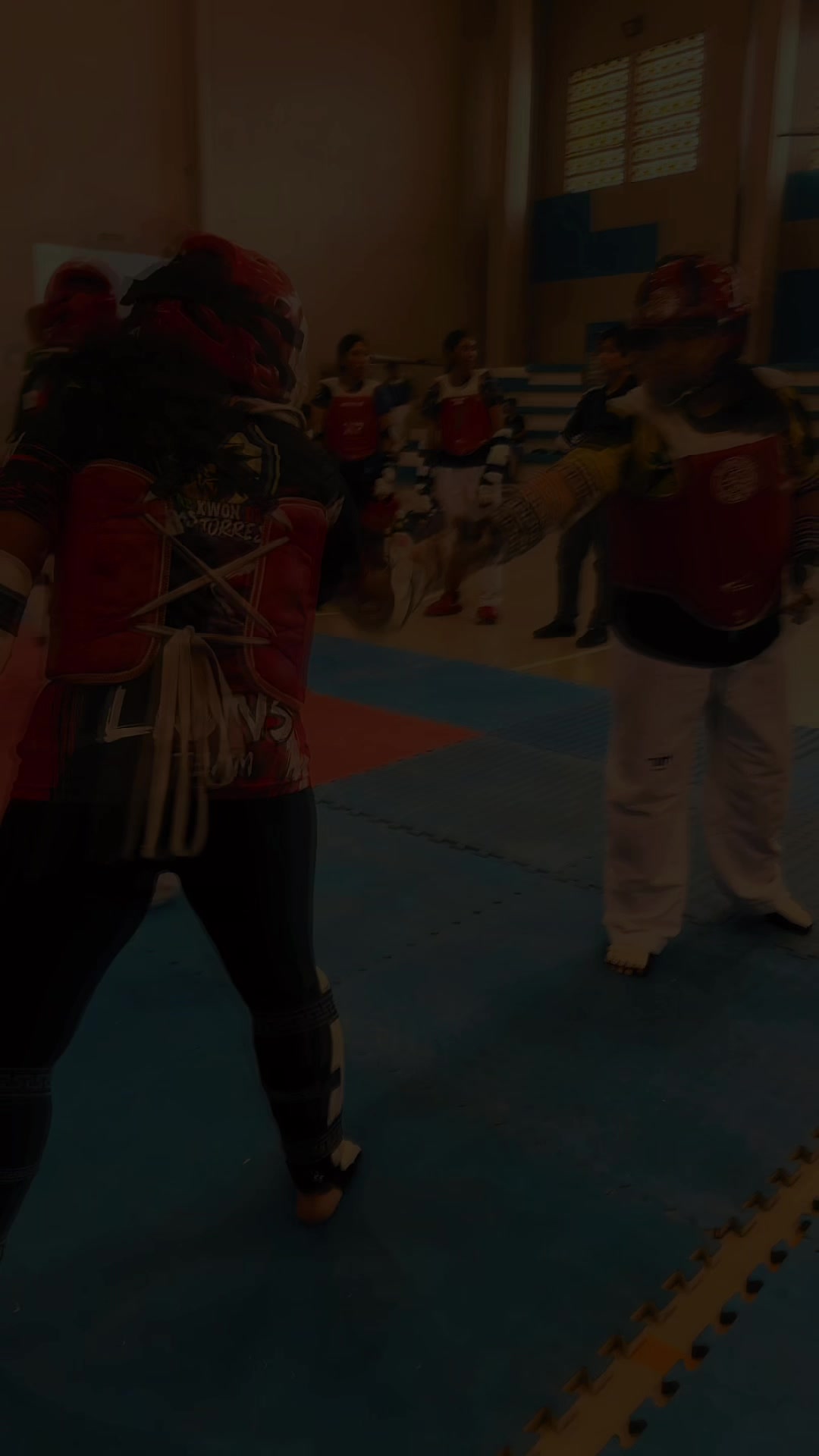 @taekwondolionsteam