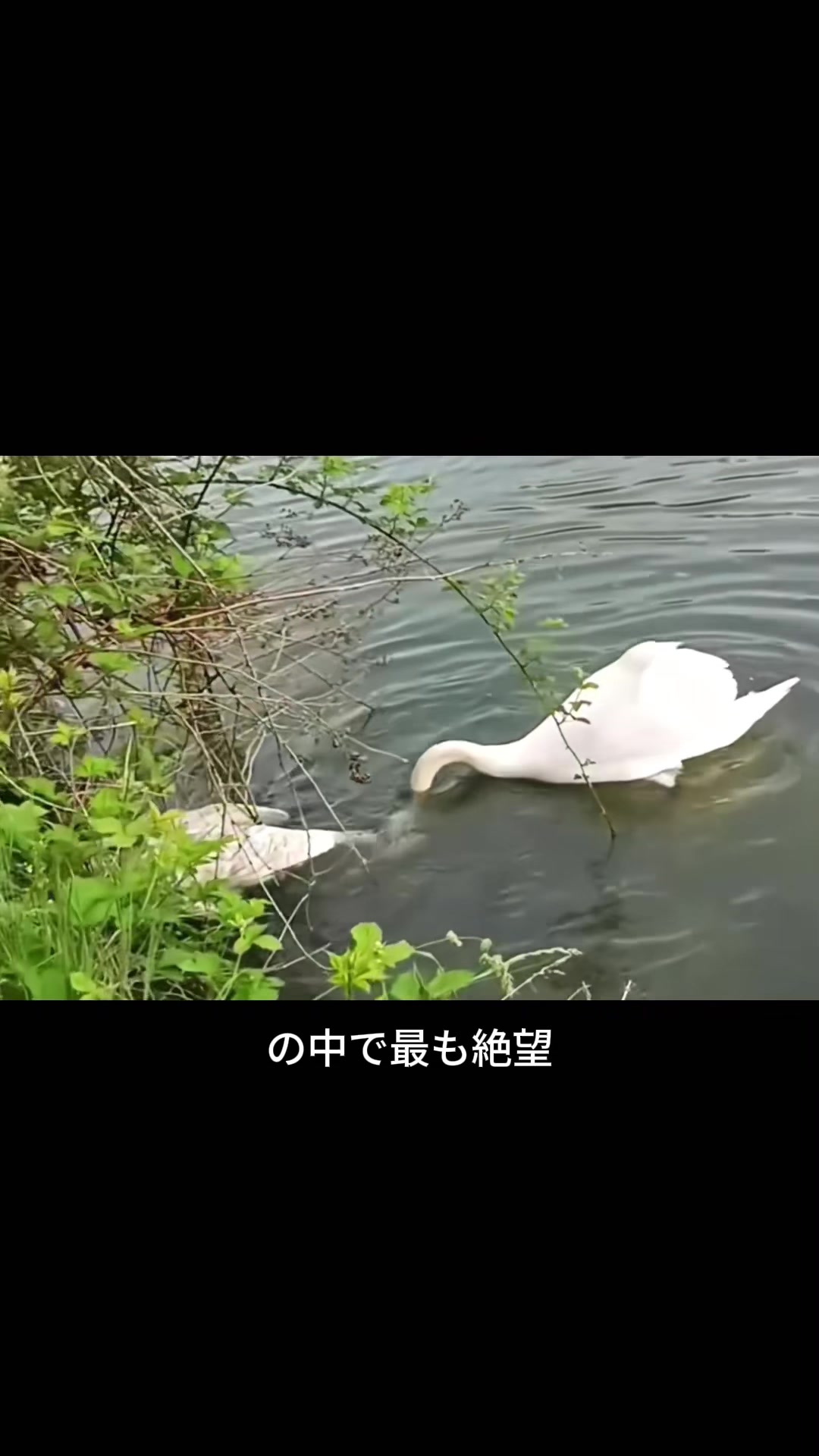@斎藤アウトドア