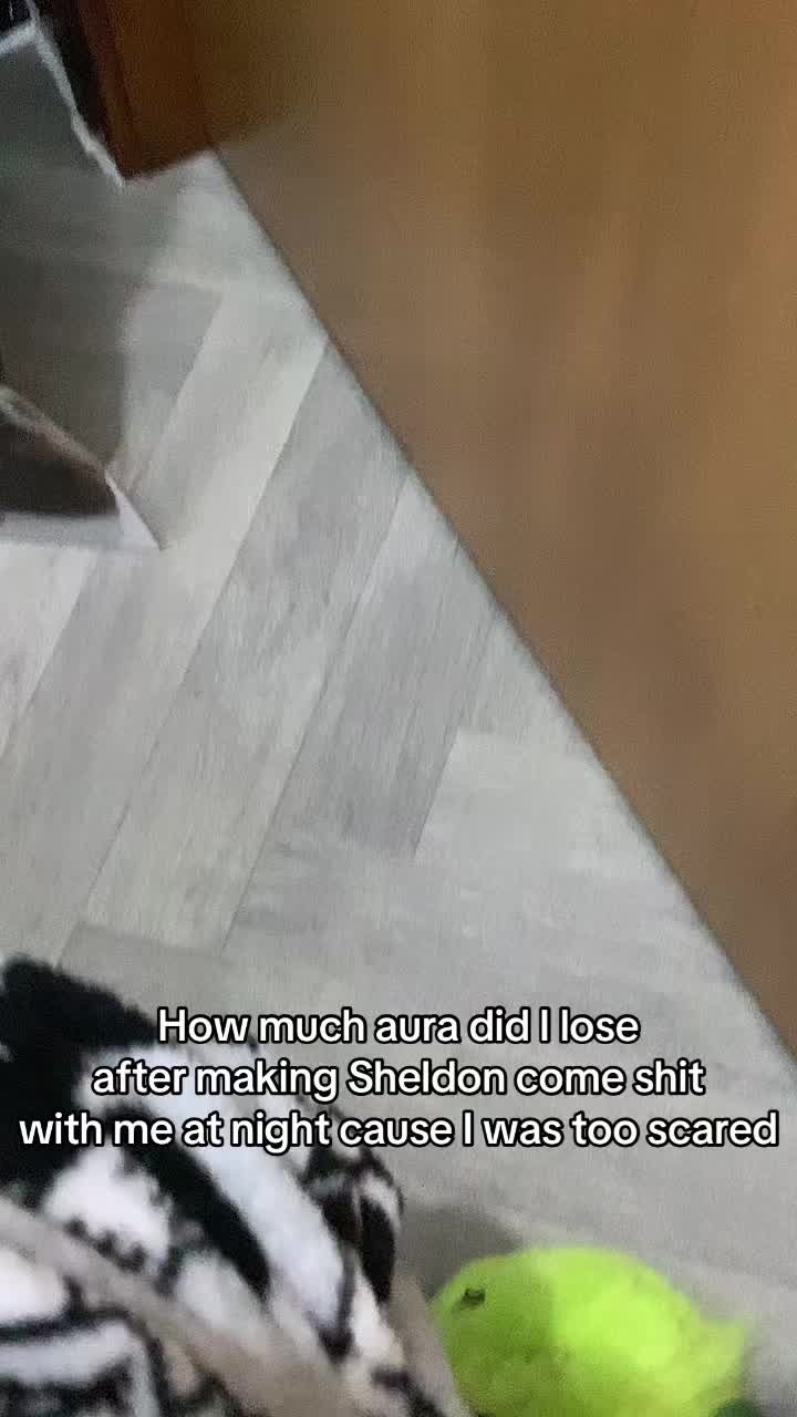 @🦭