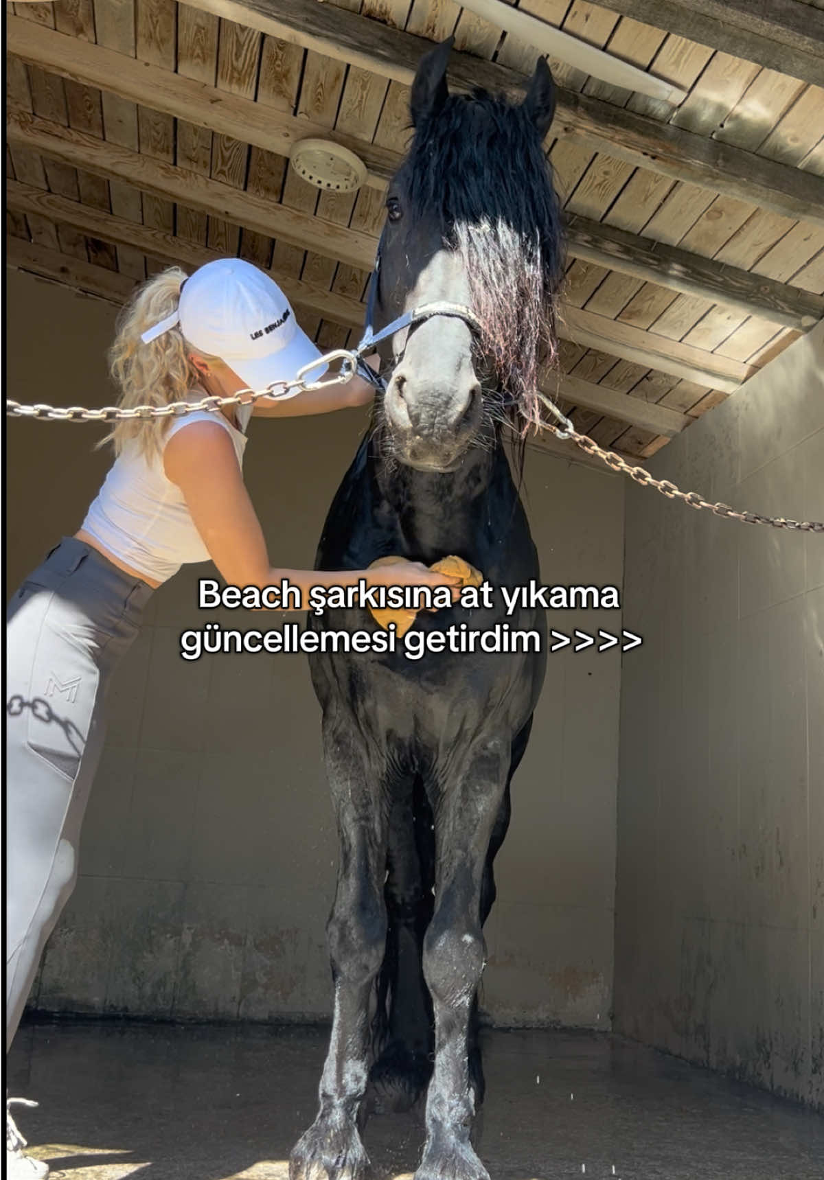 @Deniz Şen