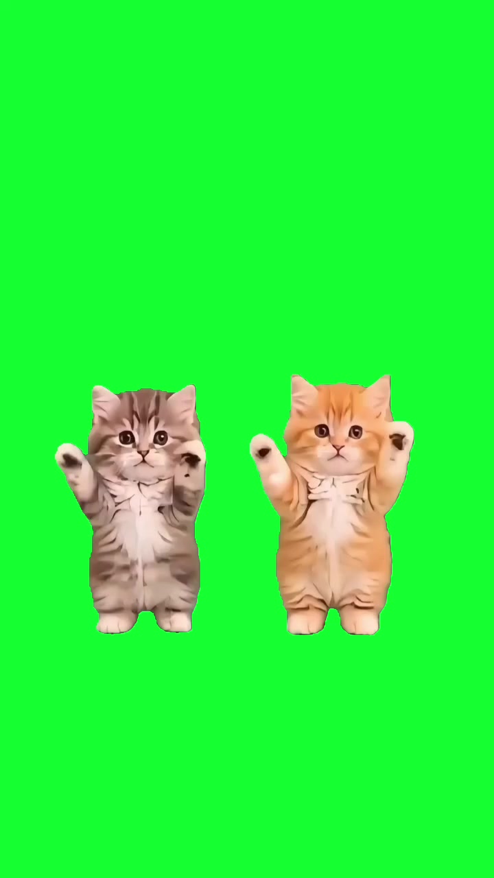 @TikTok Template