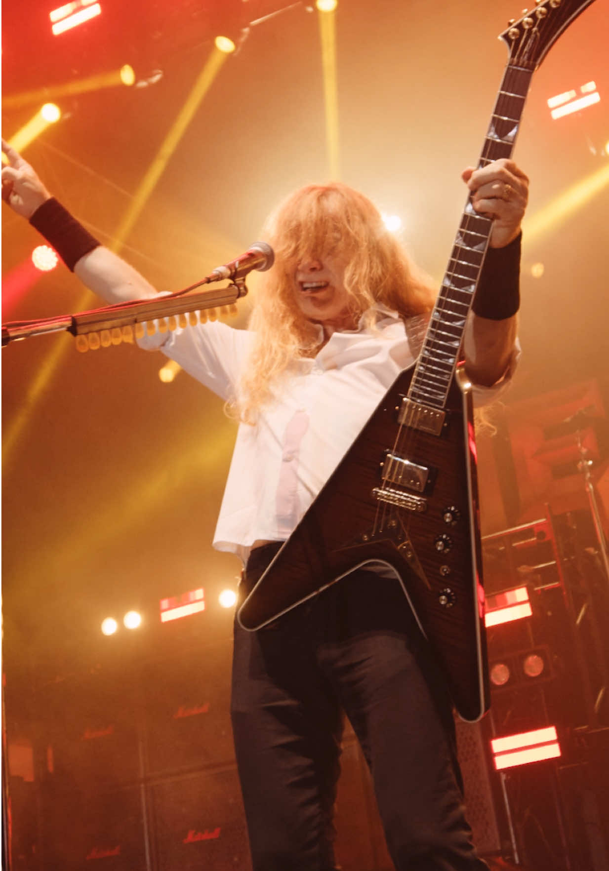 @Megadeth
