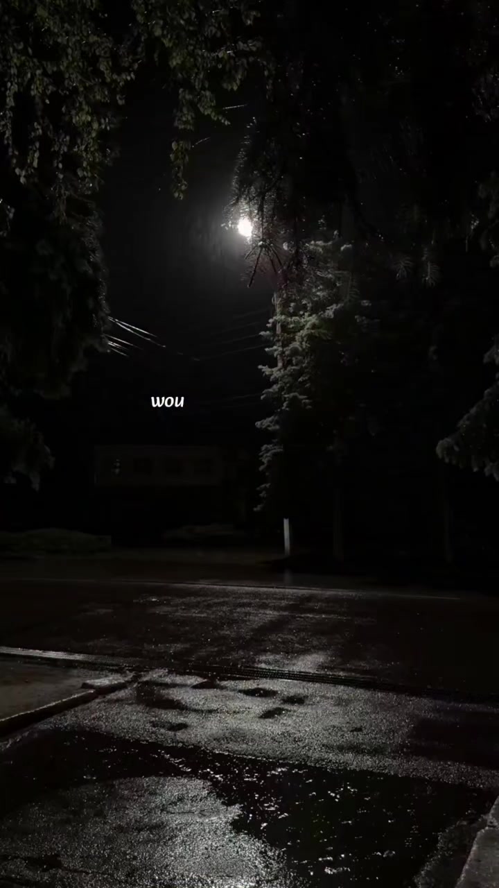 @아즈하르 𓆩♡𓆪