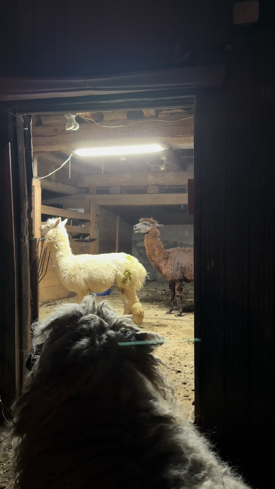 @Useless Farm