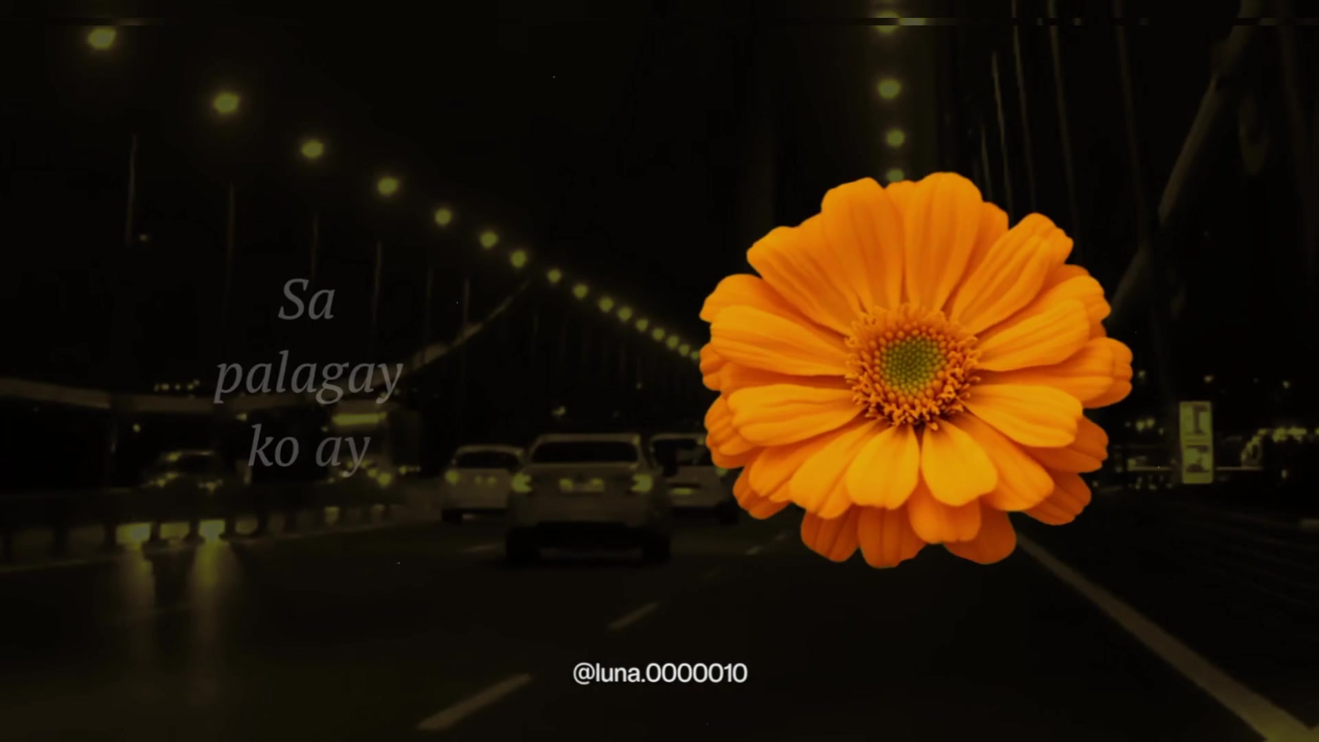 @L U N A ☾ ⋆