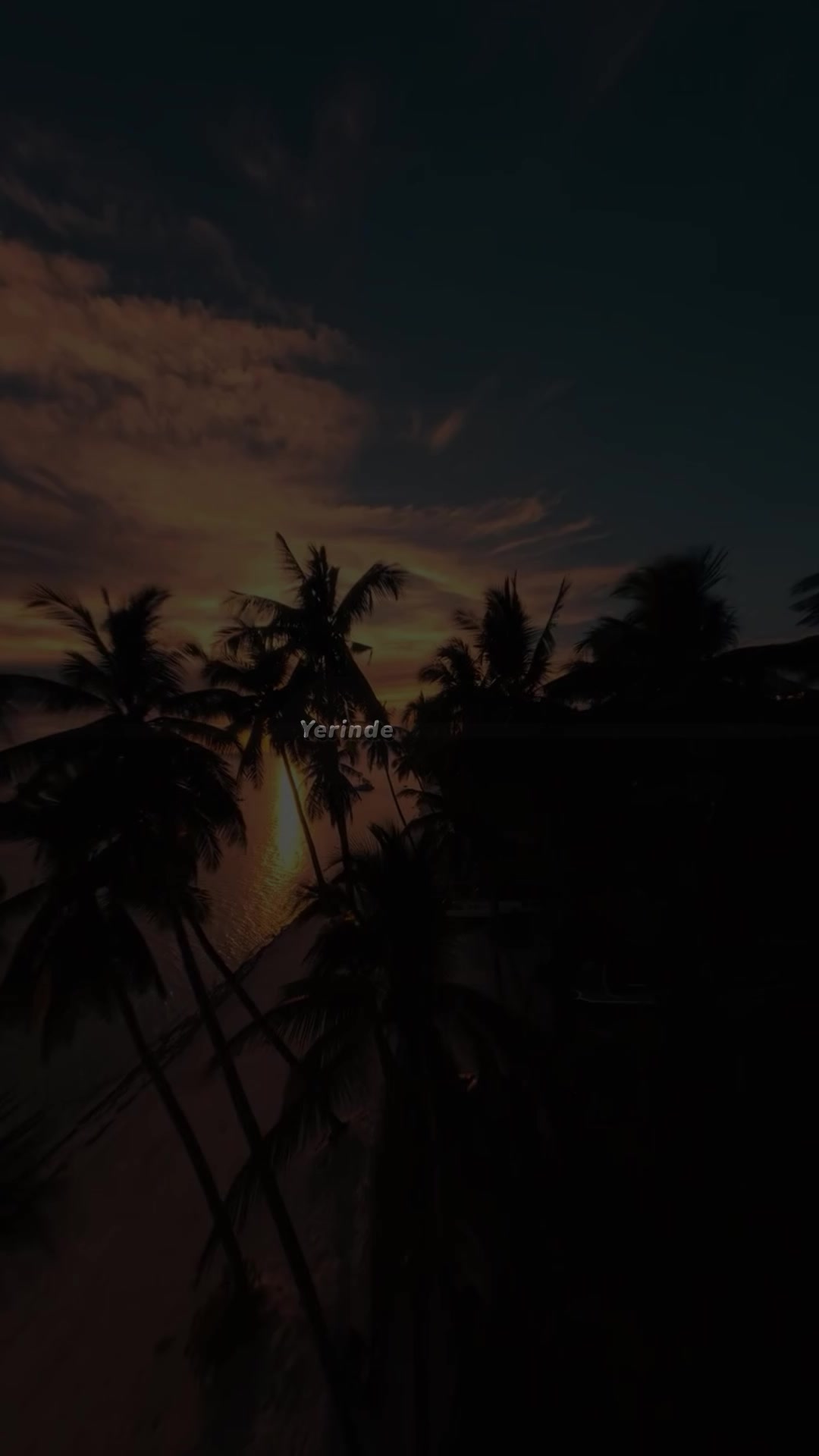 @𝗱𝗺𝗻𝗹𝘆𝗿𝗶𝗰𝘀