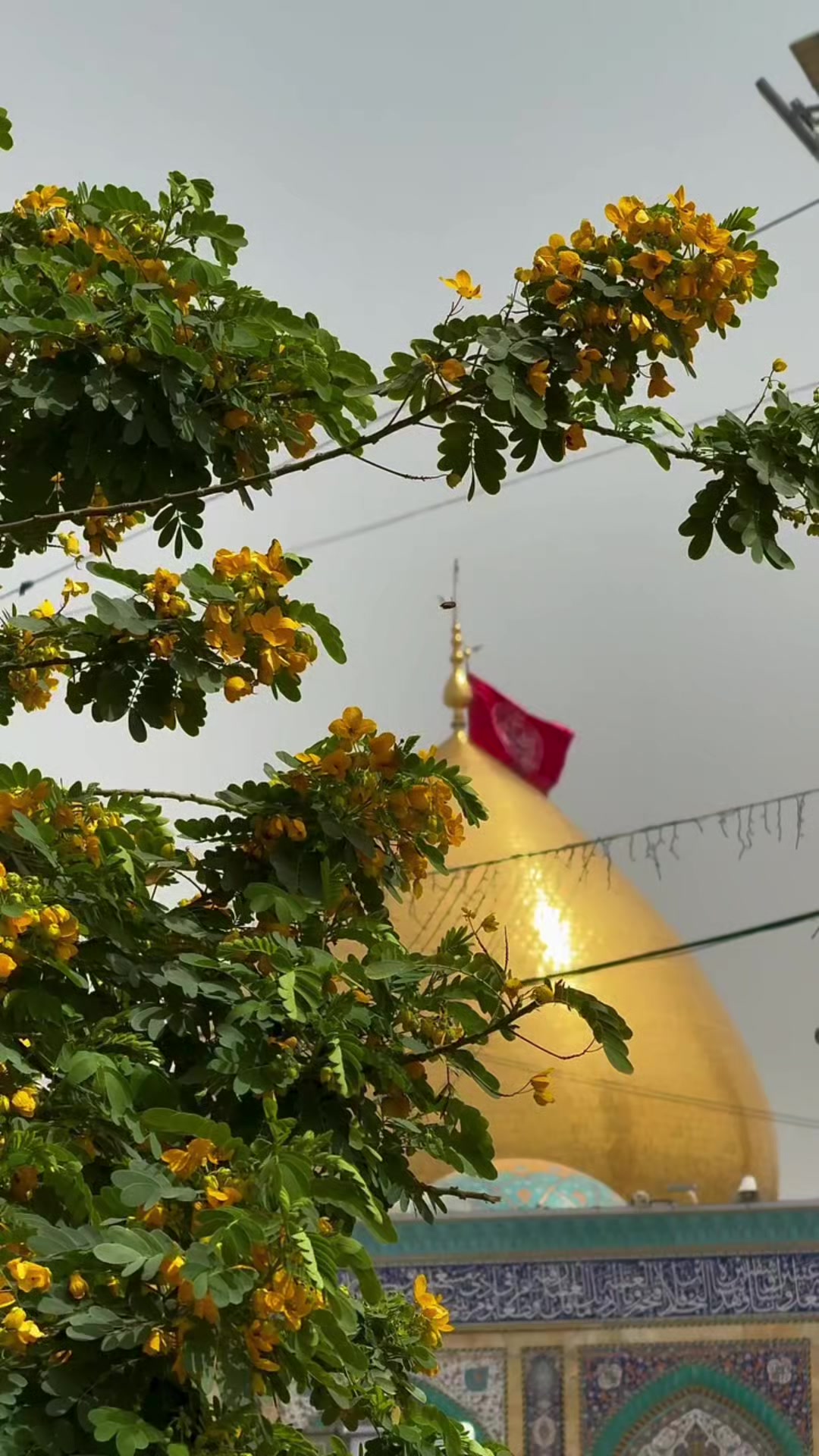 @پاسبان مہدی❤️🩹
