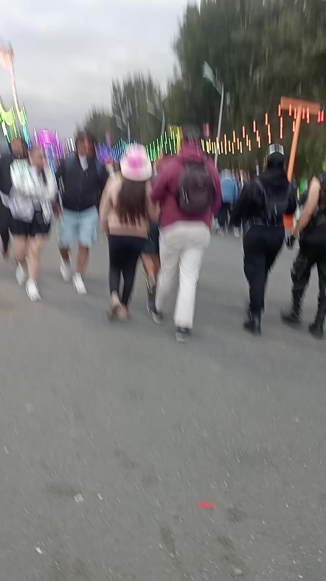 @DELFIS