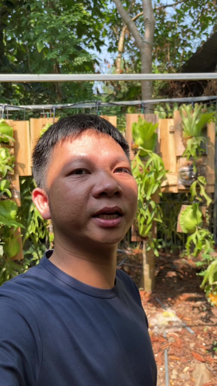 @Huy Kiểng L&aacute;