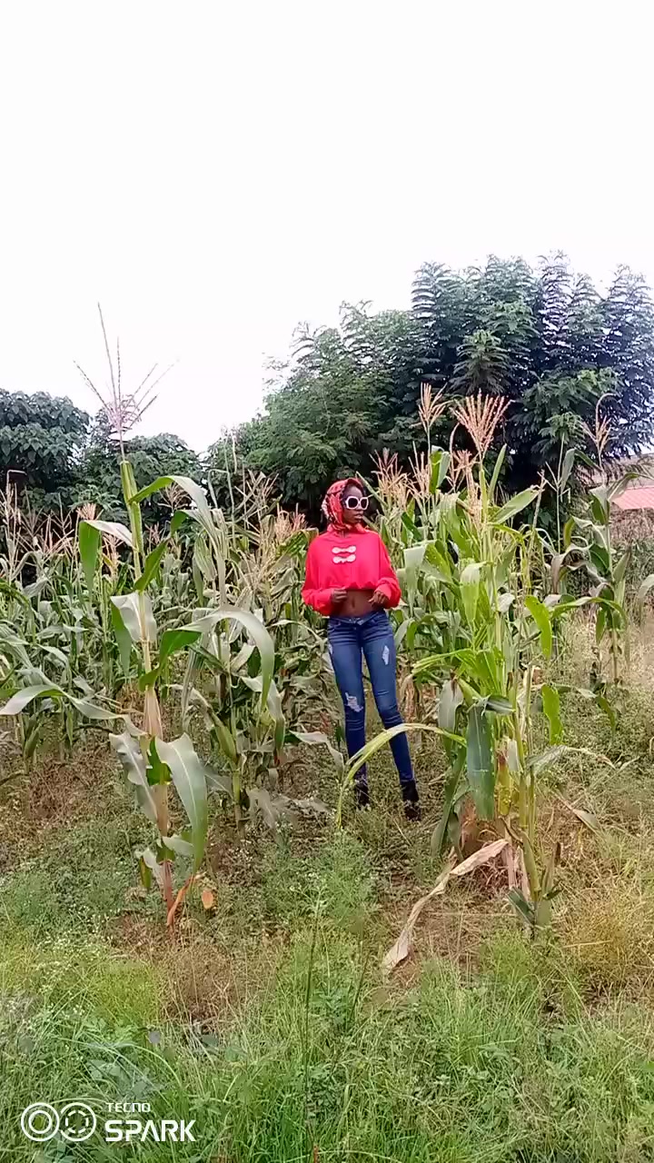 @Dottie Kenya
