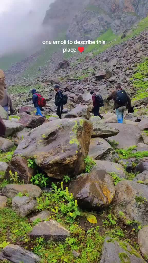 @شعیب عالم  ڈی کے