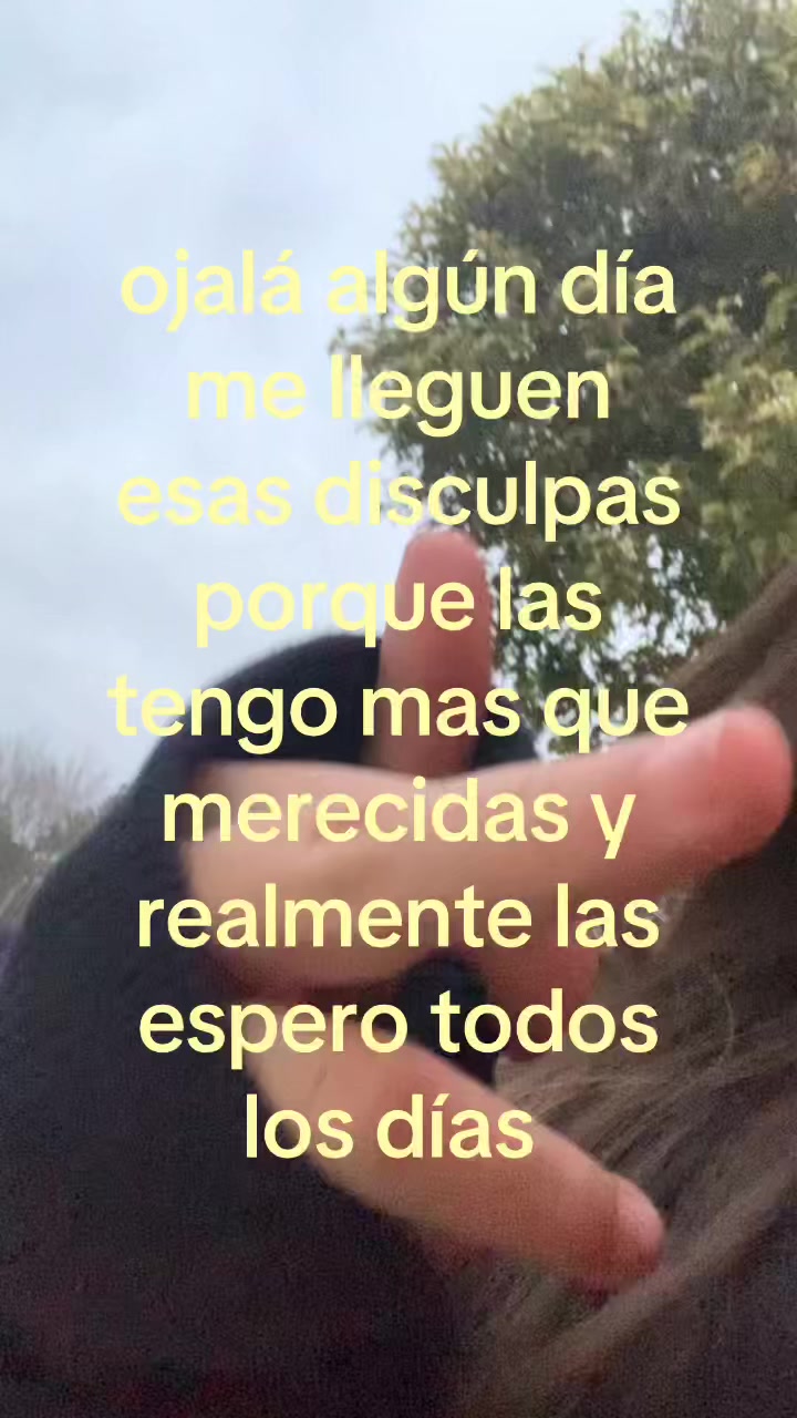 @user020379999