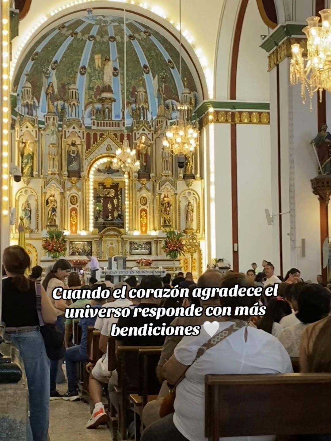@Marcela Obando