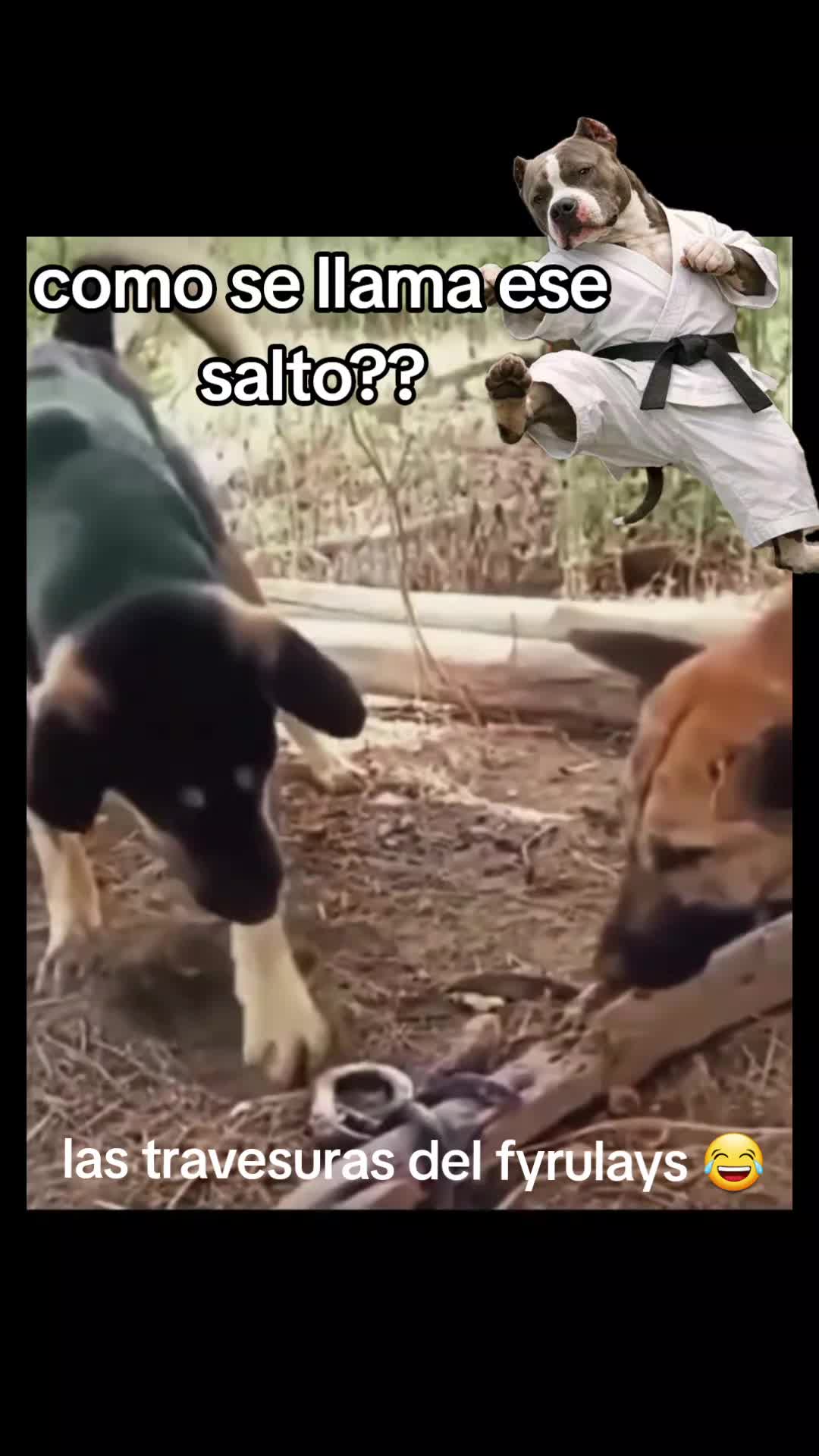 @rikum🇲🇽